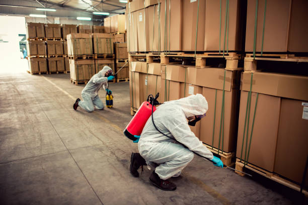 Best Pest Prevention Services  in Pearl River, LA
