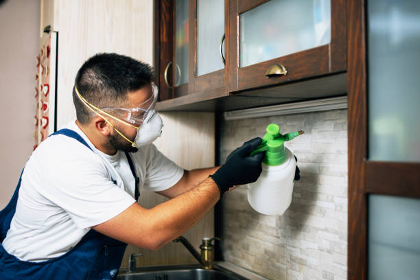 Best Termite Control Services  in Pearl River, LA
