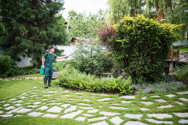 Wasp Removal Services in Pearl River, LA