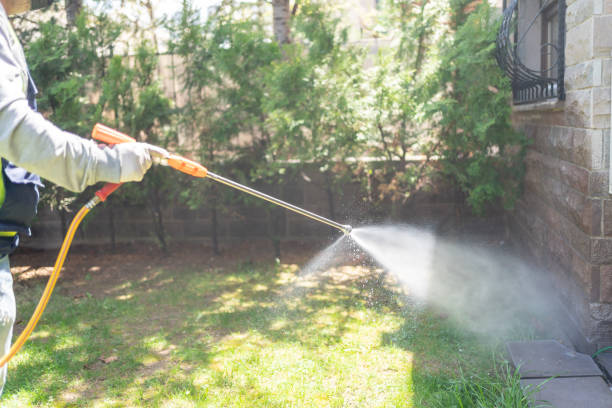 Professional Pest Control in Pearl River, LA