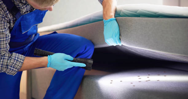 Best Best Pest Control Companies  in Pearl River, LA