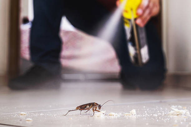 Best Wasp Removal Services  in Pearl River, LA