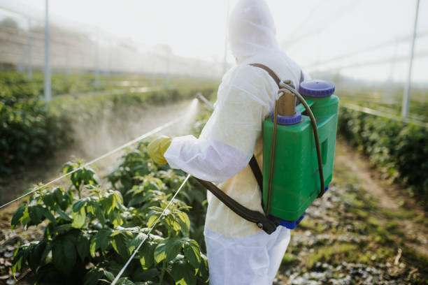 Best Cockroach Control Services  in Pearl River, LA